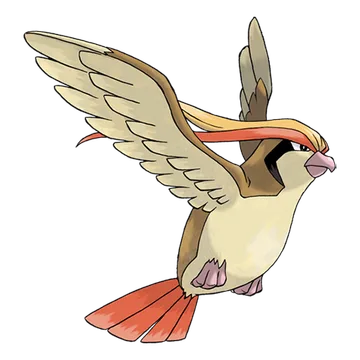 Pidgeot Pidgeot